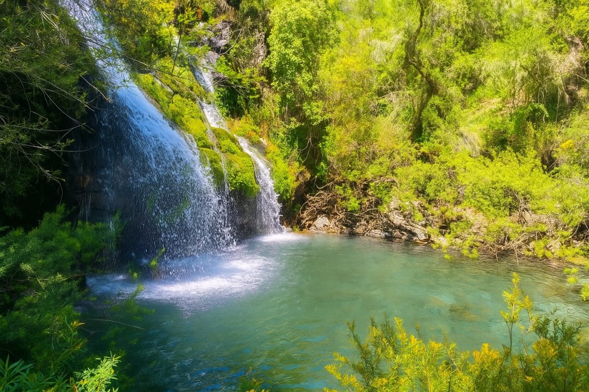 Venta Parcela Curicó - Maule