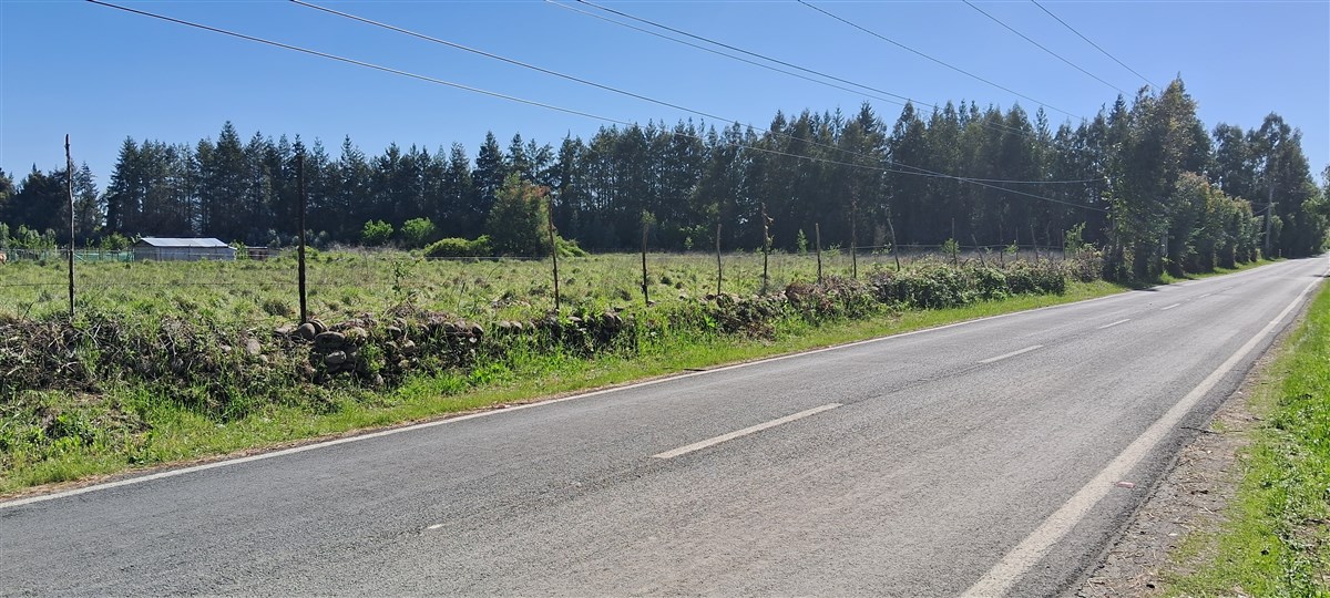 Venta Parcela Molina - Maule
