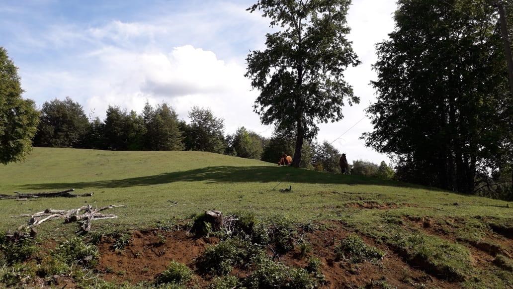 Arriendo Parcela Lautaro - La Araucanía