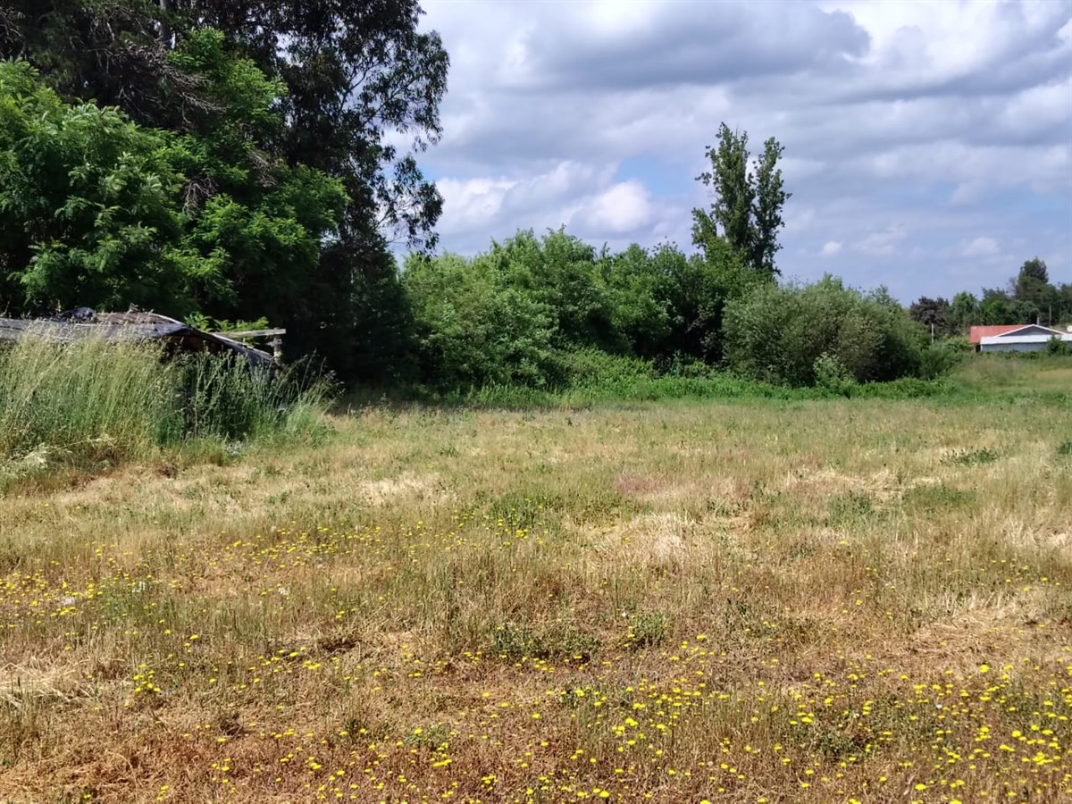 Venta Parcela Pelarco - Maule