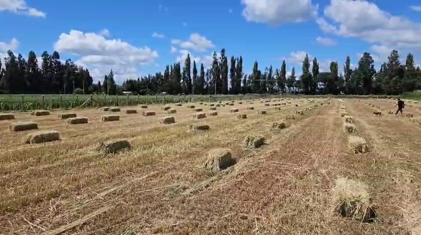 Venta Parcela Los Angeles - Biobío