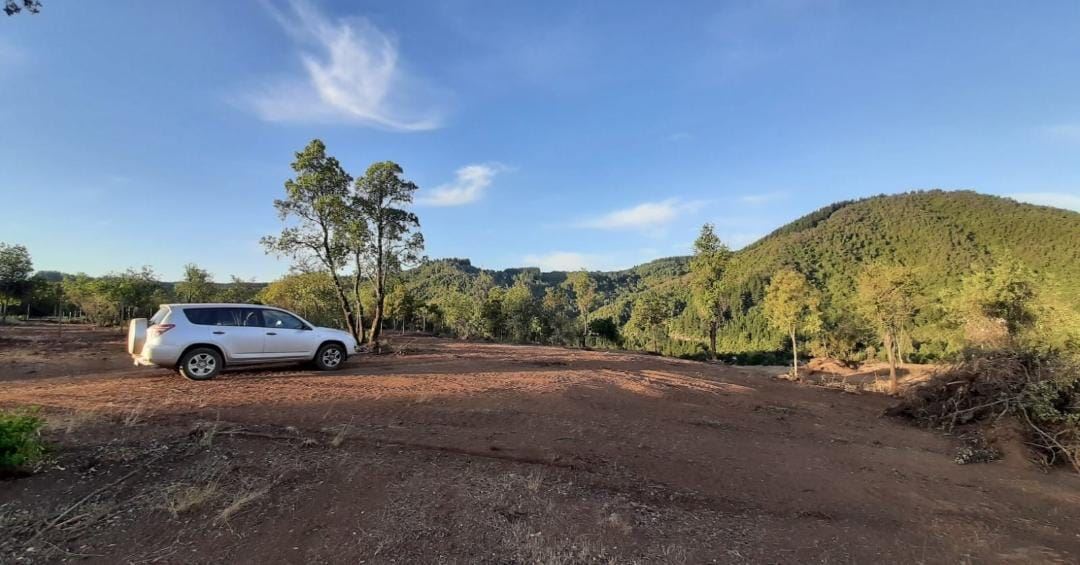 Venta Parcela Curicó - Maule