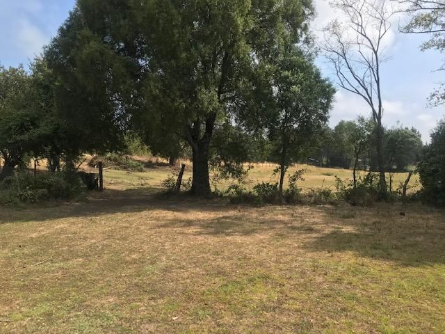 Venta Parcela Los Angeles - Biobío