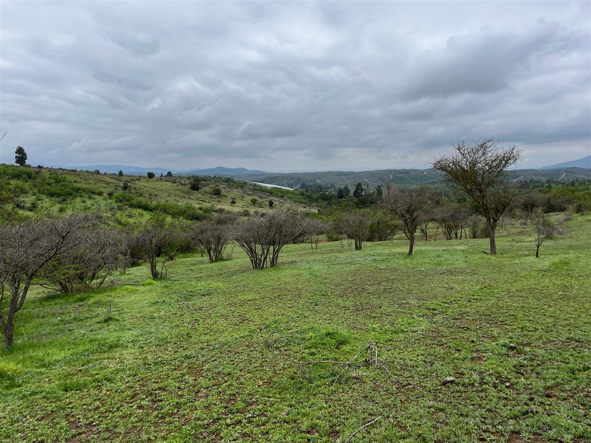 Venta Parcela San Pedro - Región Metropolitana