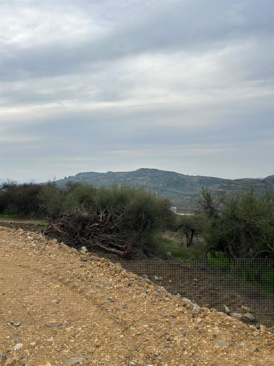 Venta Parcela Curicó - Maule
