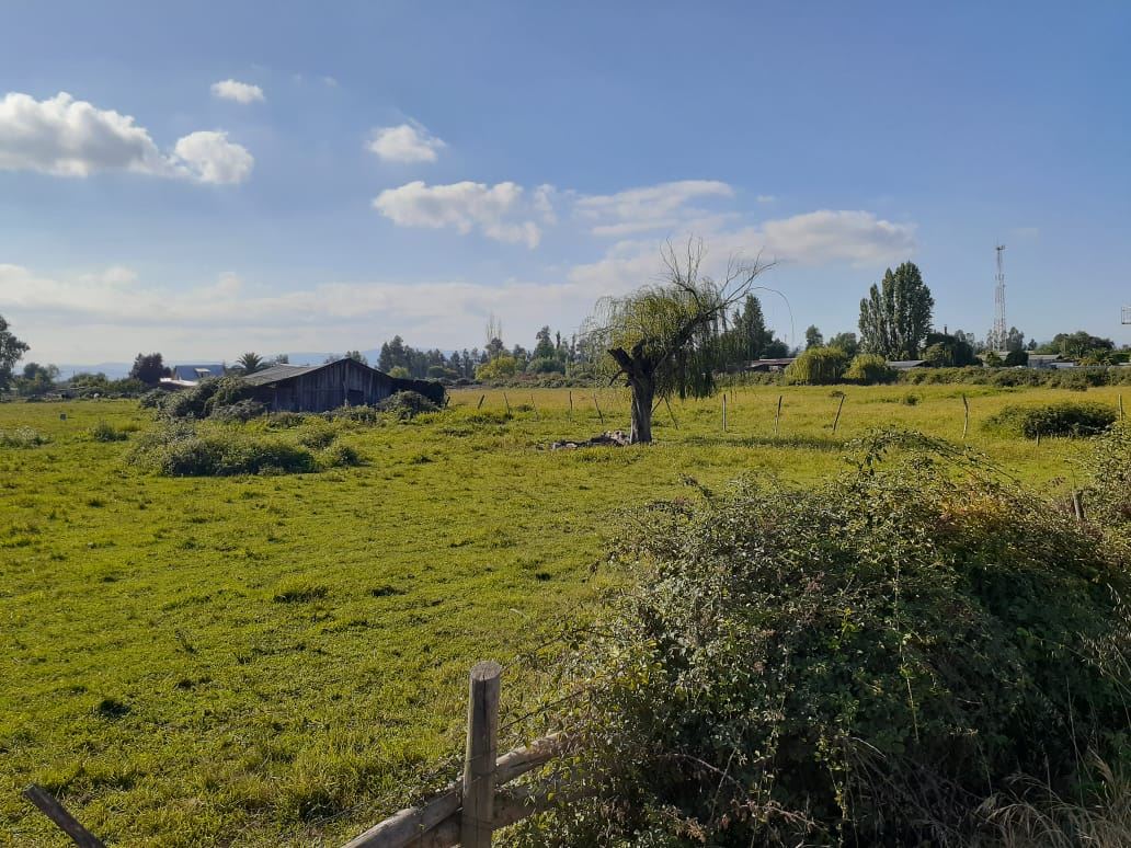 Venta Sitio Curicó - Maule