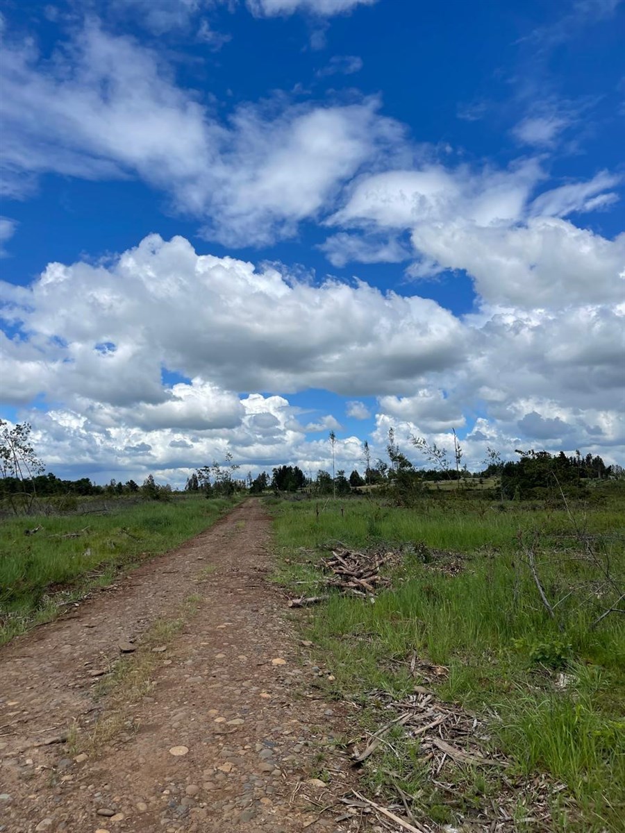 Venta Agrícola Temuco - La Araucanía