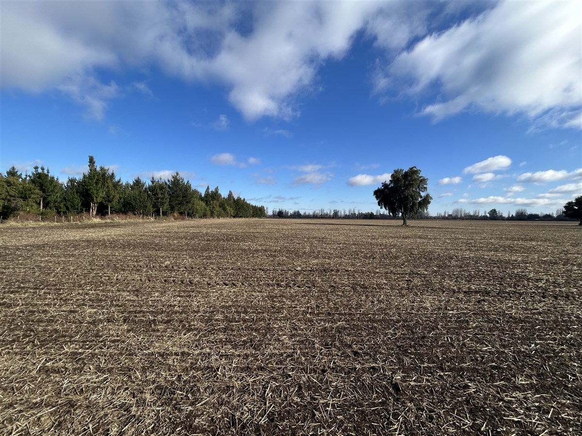 Venta Agrícola Los Angeles - Biobío