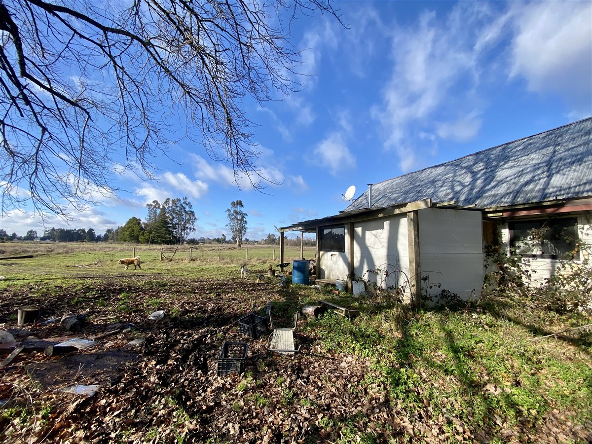 Arriendo Agrícola Temuco - La Araucanía