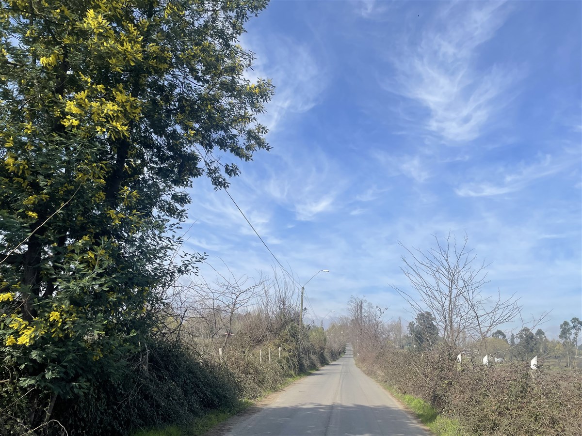 Venta Parcela San Rafael - Maule