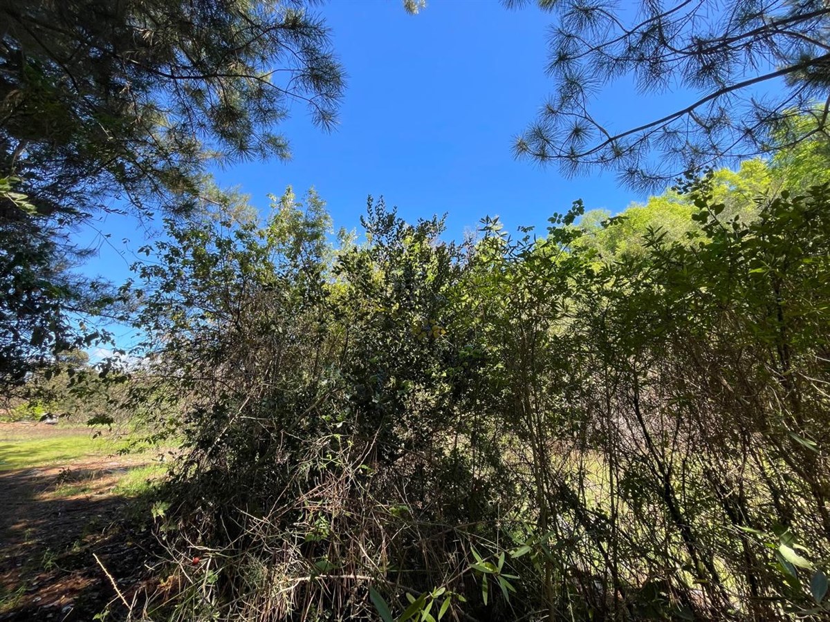 Venta Parcela Curicó - Maule