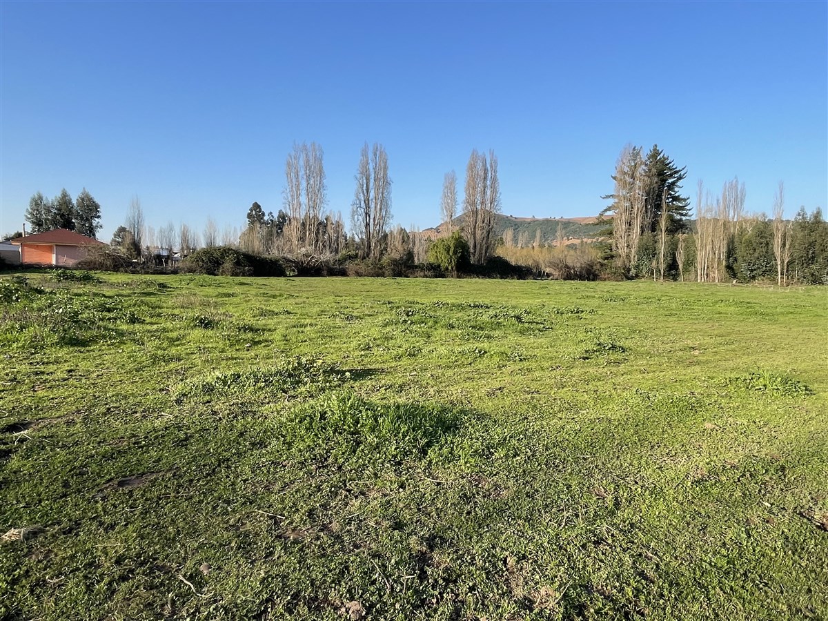 Venta Agrícola Santa Cruz - O'Higgins
