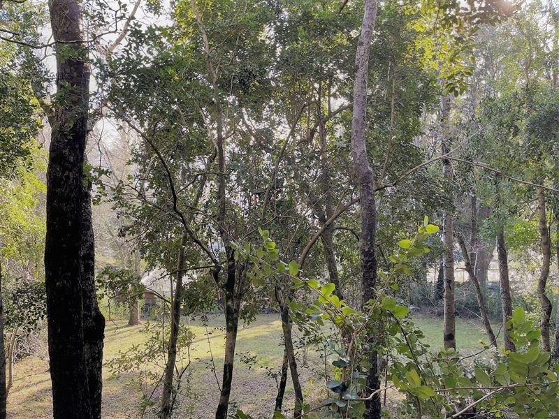 Venta Sitio Pucón - La Araucanía