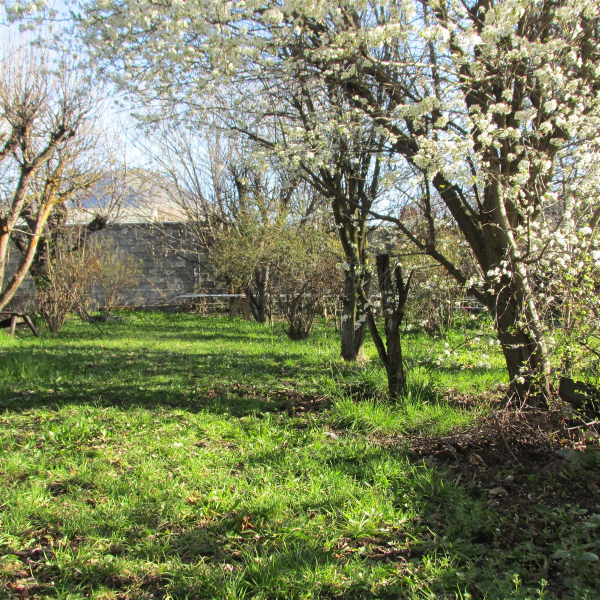 Venta Sitio Coyhaique - Aysén