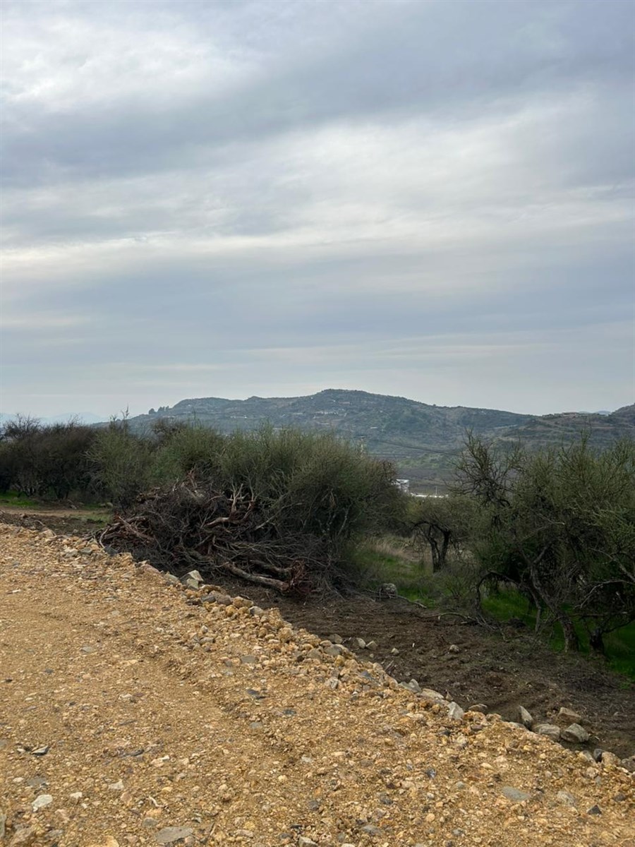 Venta Sitio Curicó - Maule