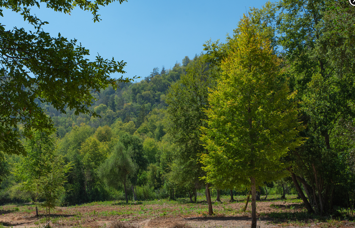 Venta Parcela Teno - Maule