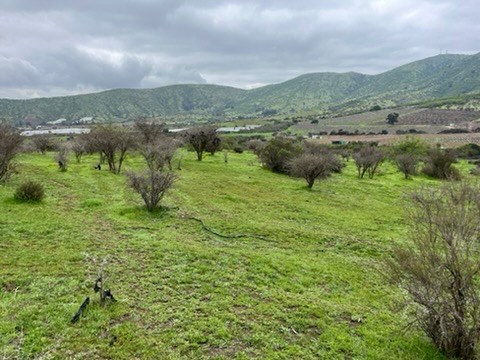 Venta Parcela San Pedro - Región Metropolitana