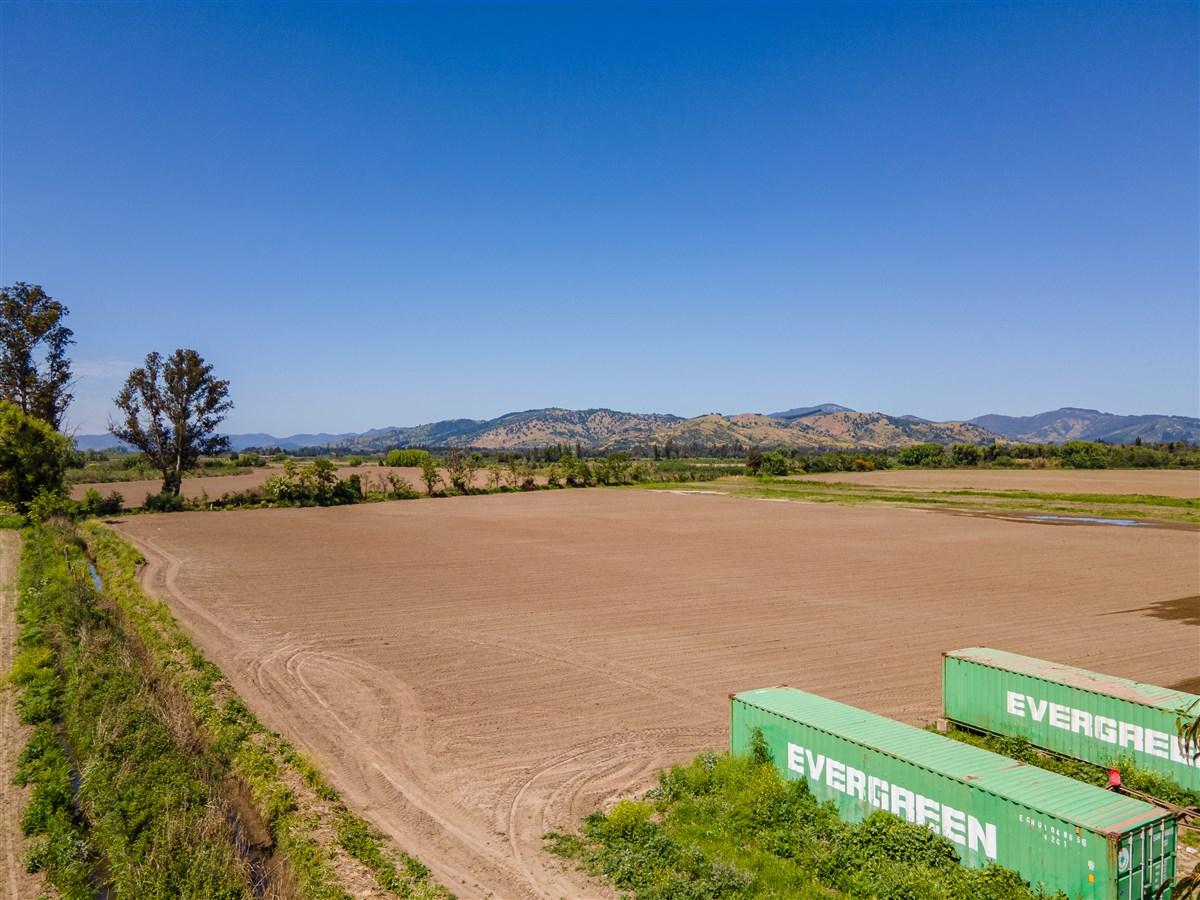 Venta Agrícola Hualañé - Maule