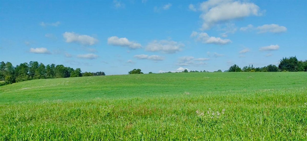 Venta Agrícola Vilcún - La Araucanía