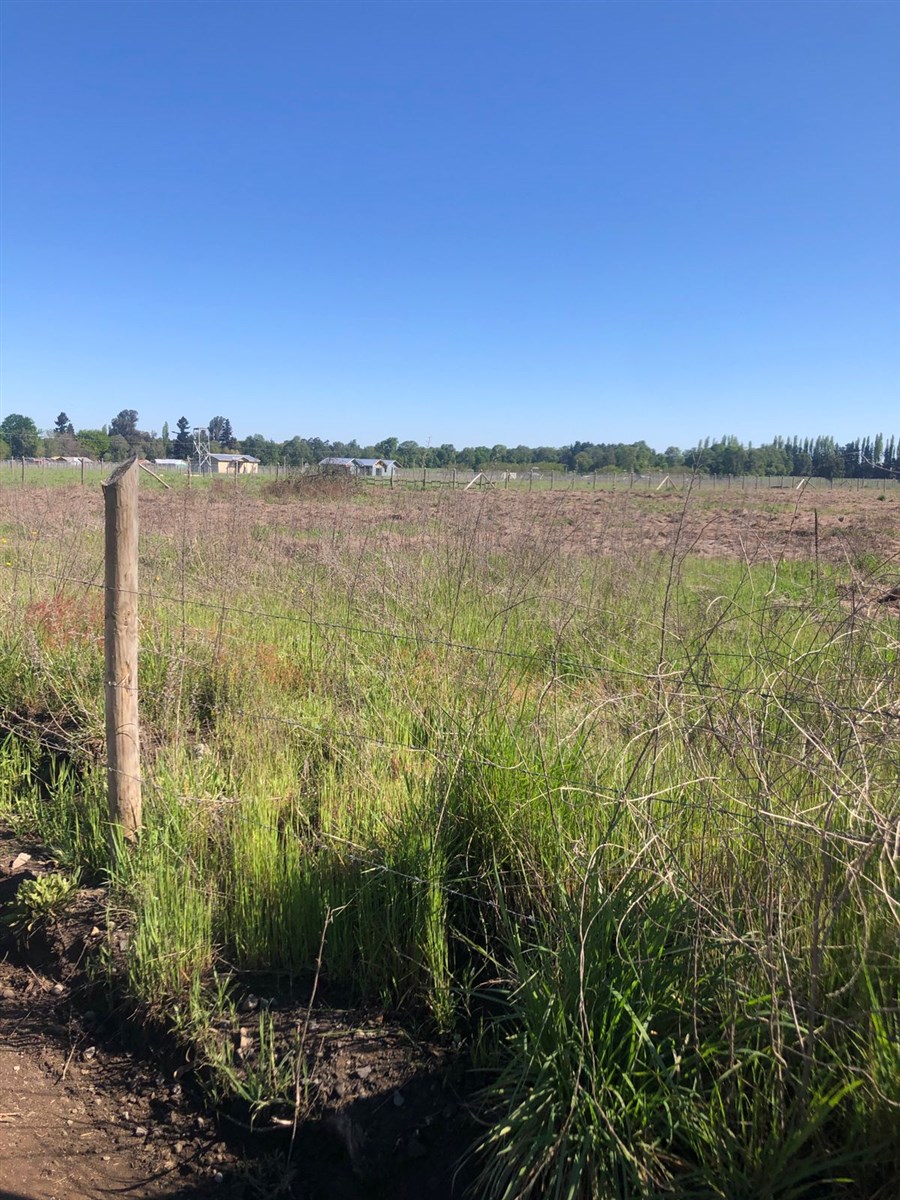 Venta Parcela Los Angeles - Biobío