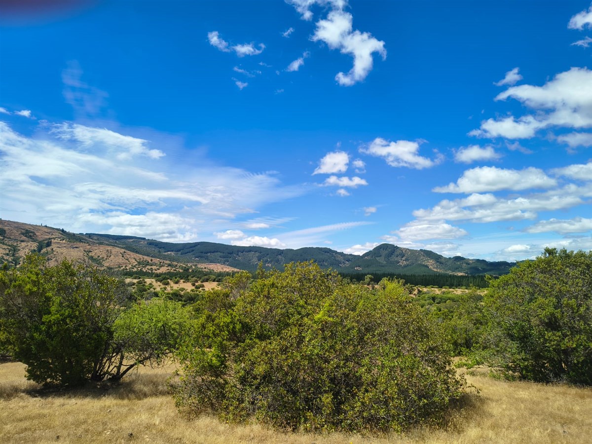 Venta Parcela Pencahue - Maule