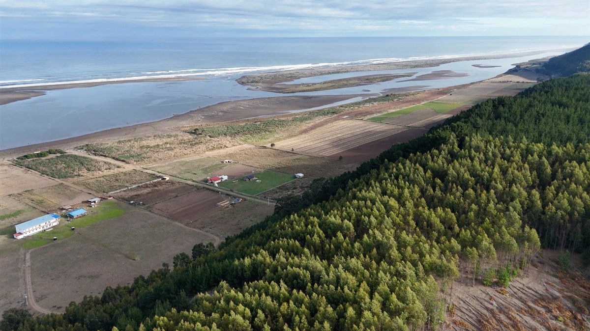 Venta Parcela Licantén - Maule