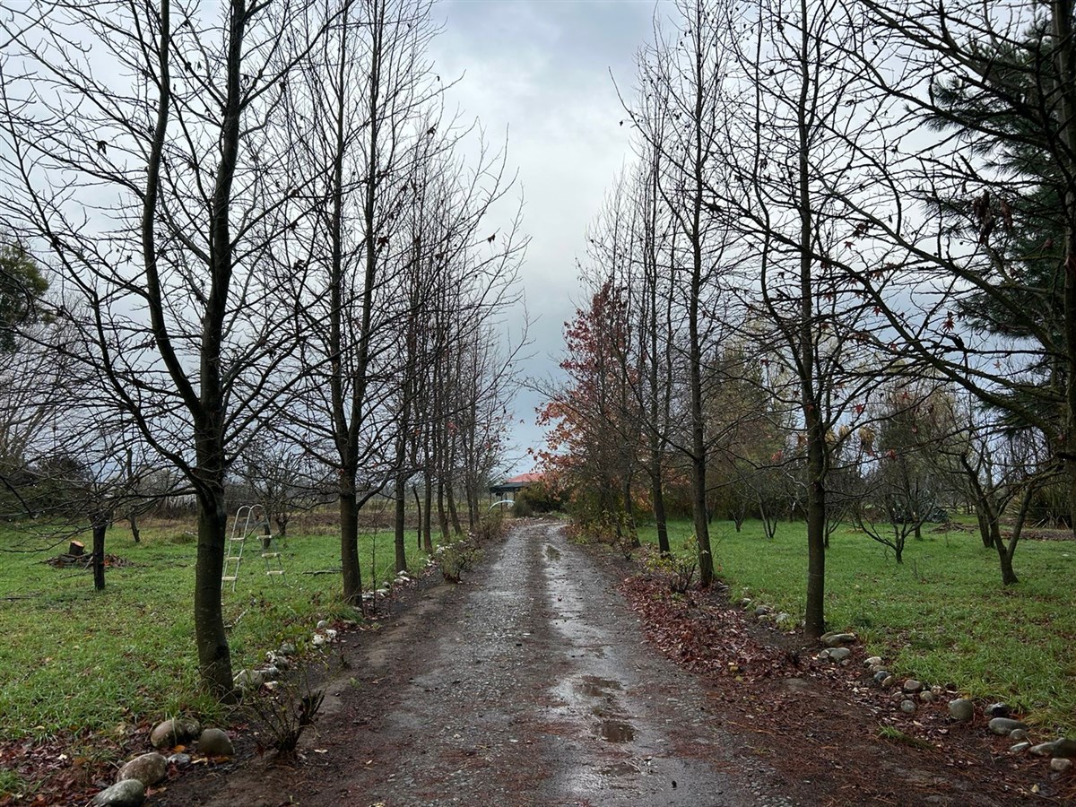 Venta Agrícola Coihueco - Ñuble