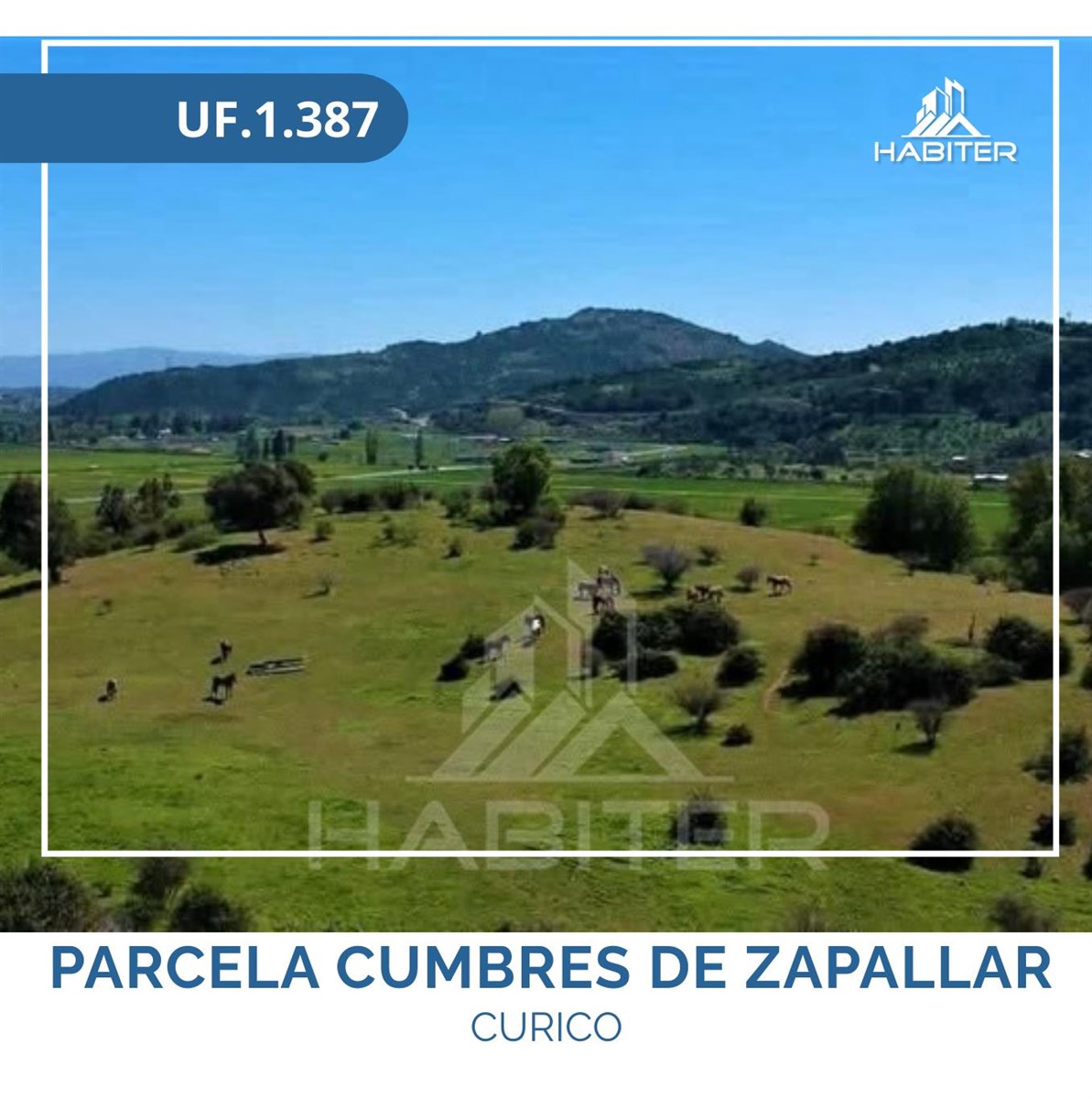 Venta Parcela Curicó - Maule