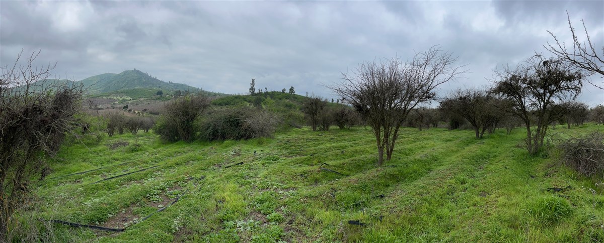 Venta Parcela San Pedro - Región Metropolitana