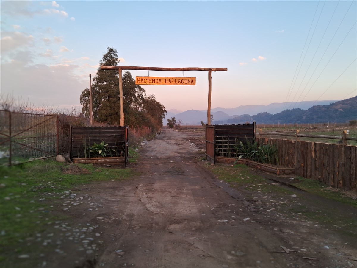 Venta Parcela Teno - Maule