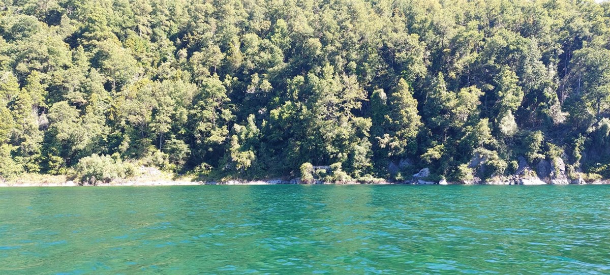 Venta Sitio Cunco - La Araucanía
