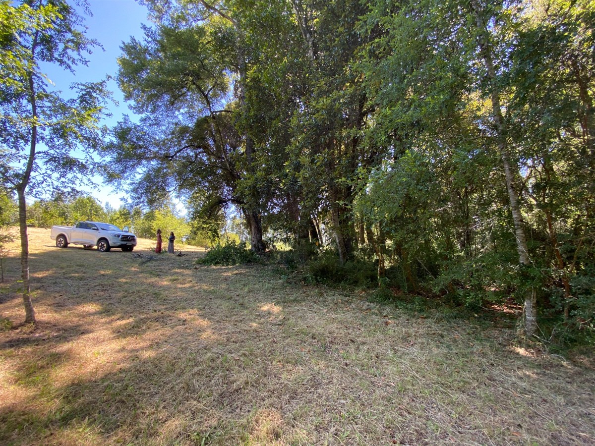 Venta Parcela Pucón - La Araucanía