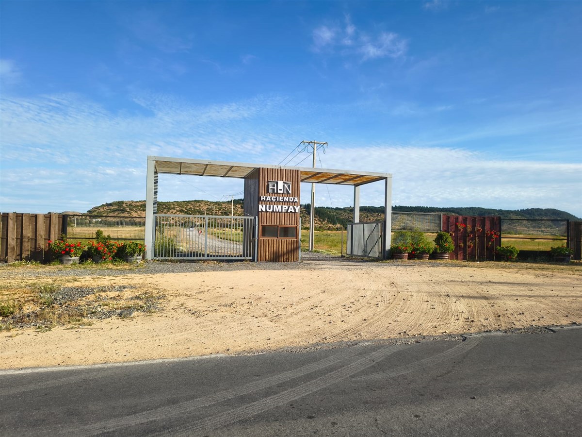 Venta Parcela Maule - Maule