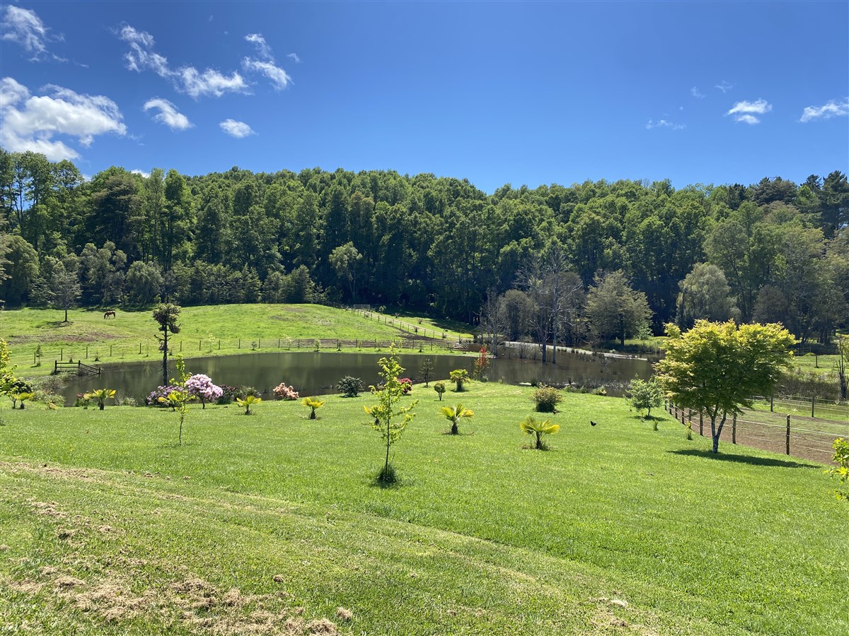 Venta Agrícola Vilcún - La Araucanía