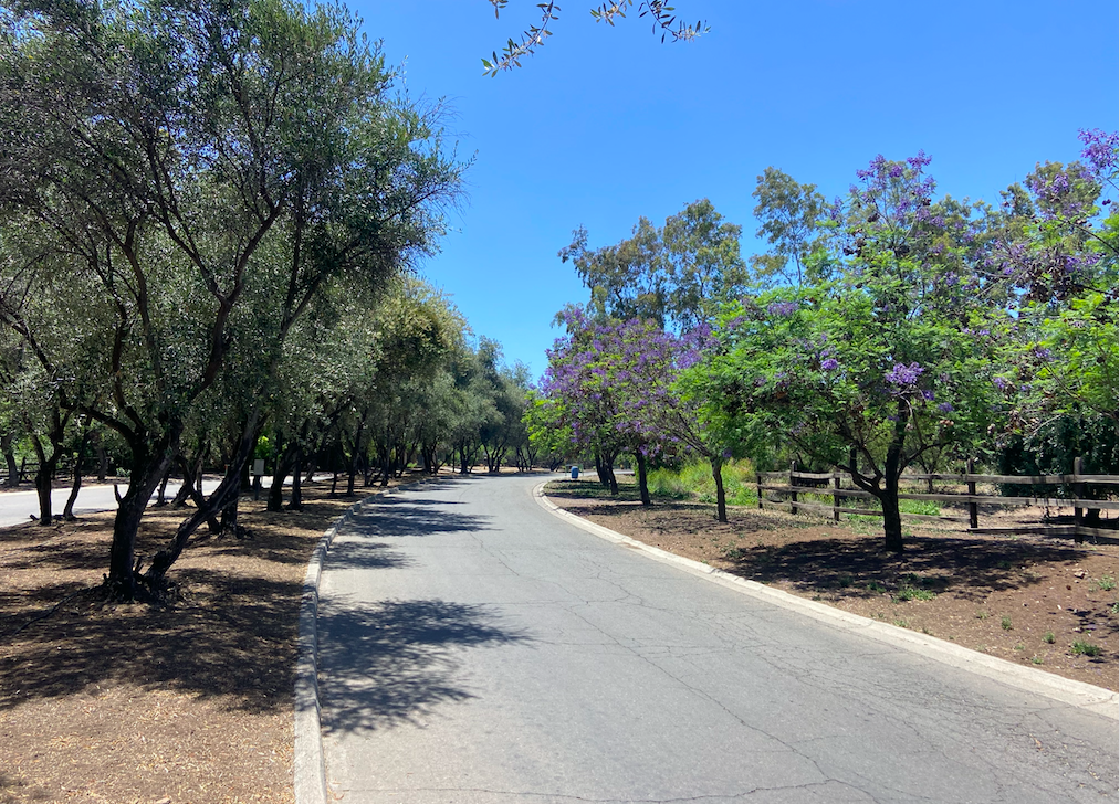 Venta Sitio Colina - Región Metropolitana