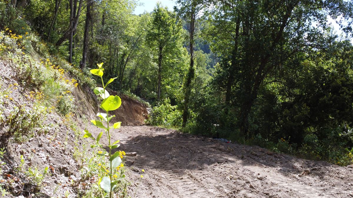 Venta Sitio Molina - Maule