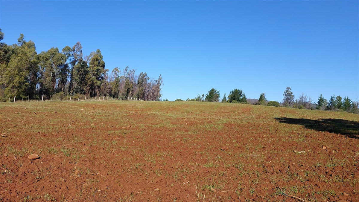 Venta Terreno Nacimiento - Biobío
