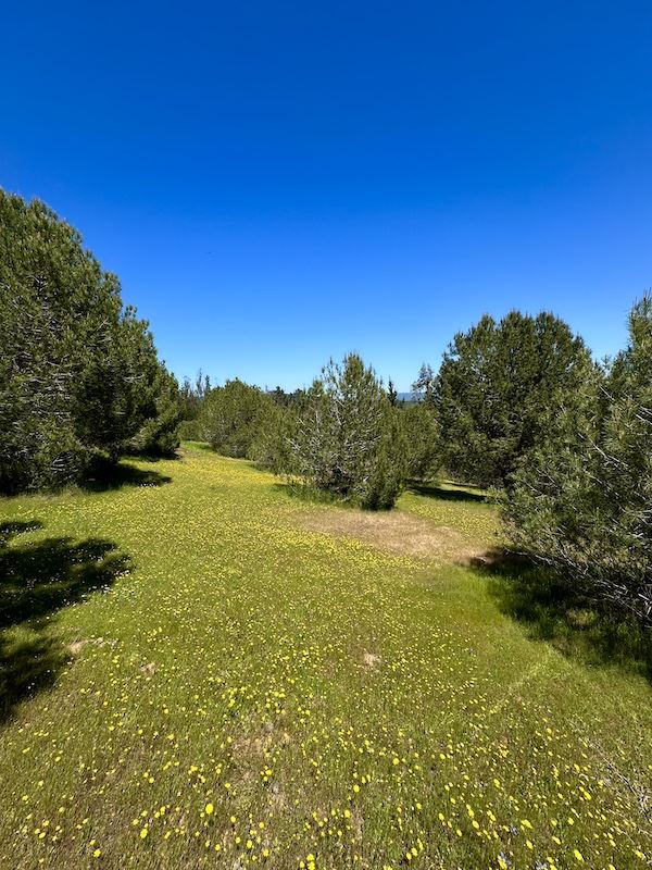 Venta Parcela Vichuquén - Maule