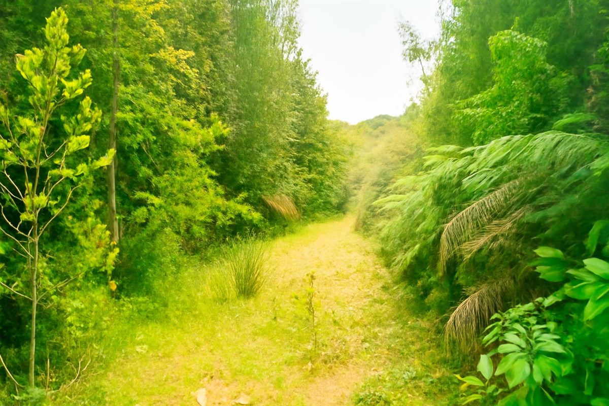 Venta Terreno San Juan de La Costa - Los Lagos