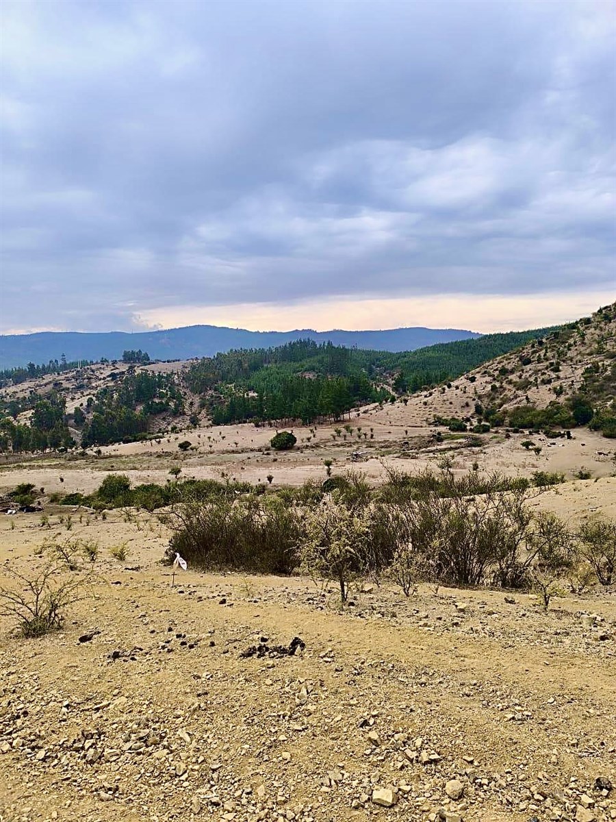 Venta Parcela Hualañé - Maule