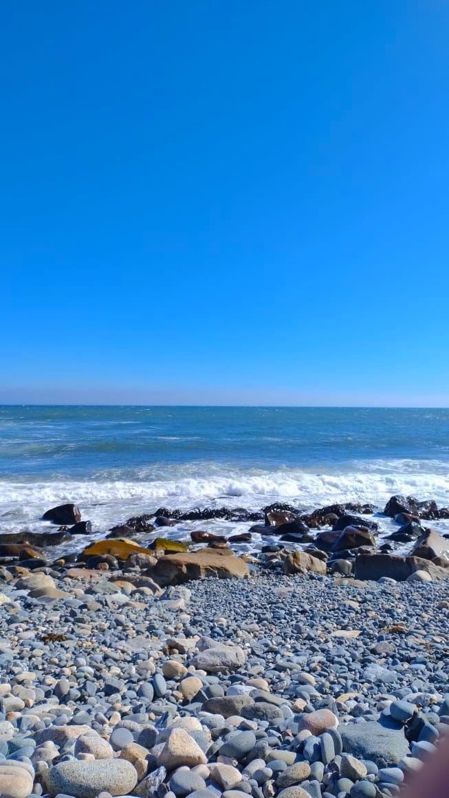 Venta Parcela Ovalle - Coquimbo