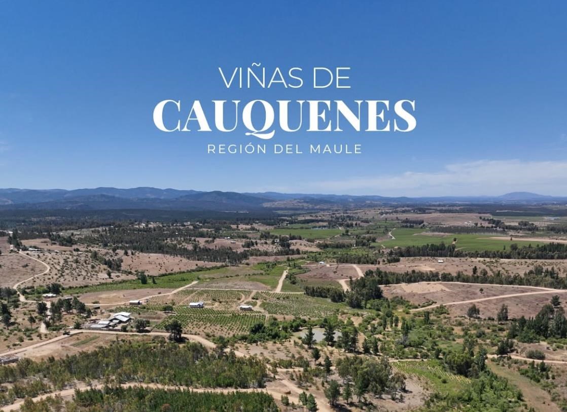 Venta Parcela Cauquenes - Maule