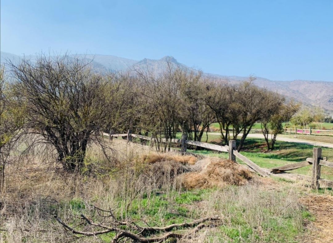 Venta Sitio Colina - Región Metropolitana