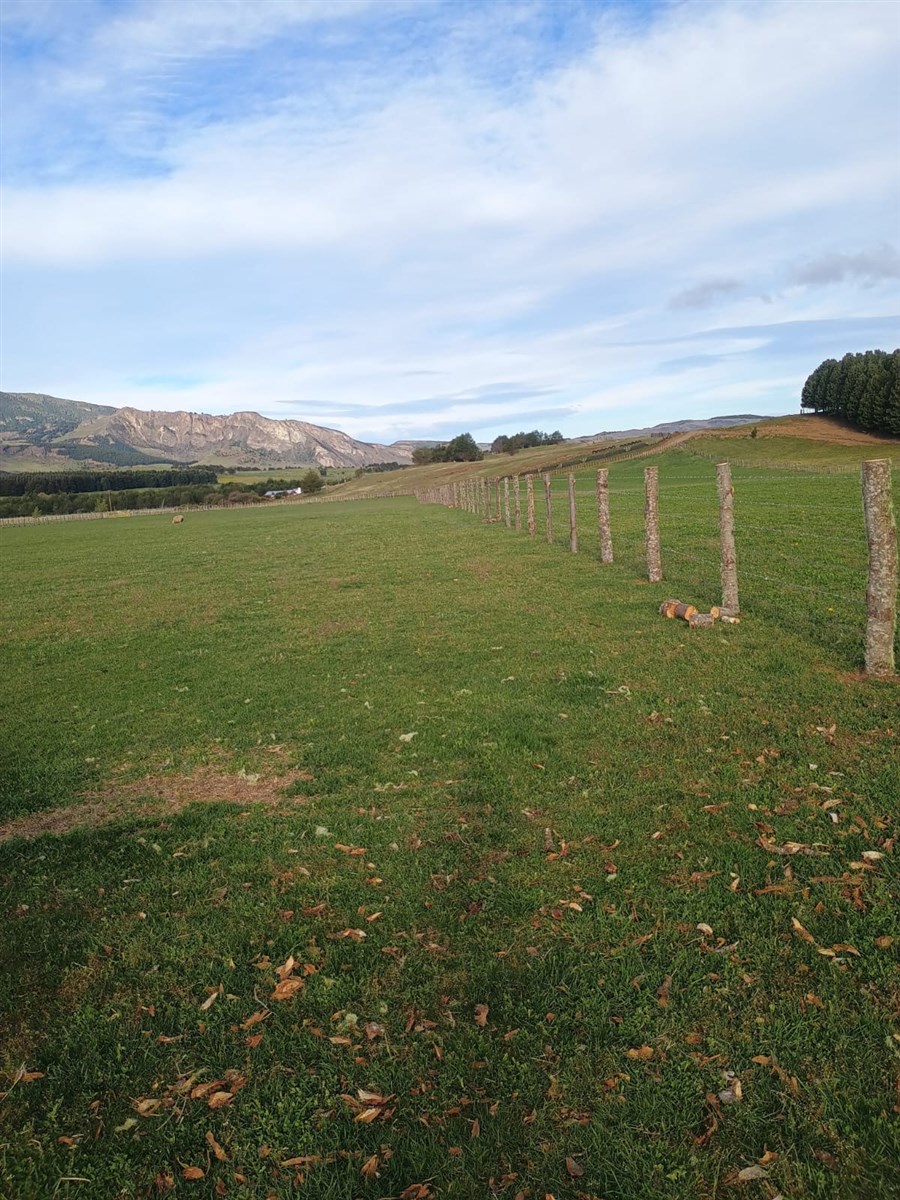 Venta Parcela Coyhaique - Aysén