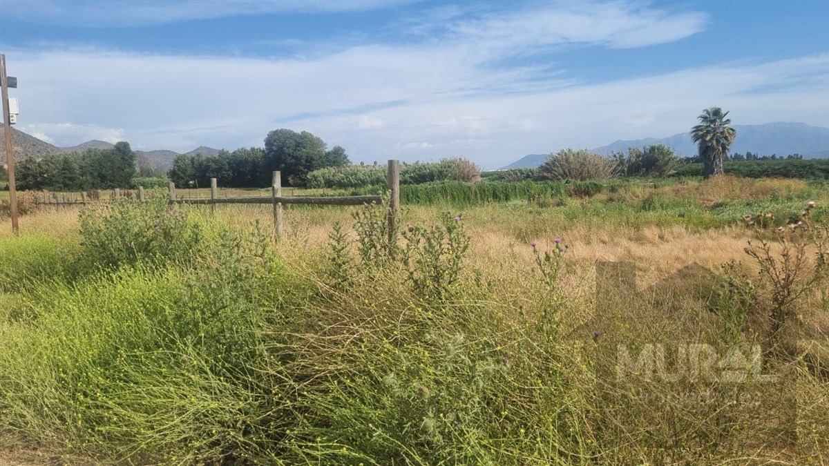 Venta Parcela Isla de Maipo - Región Metropolitana