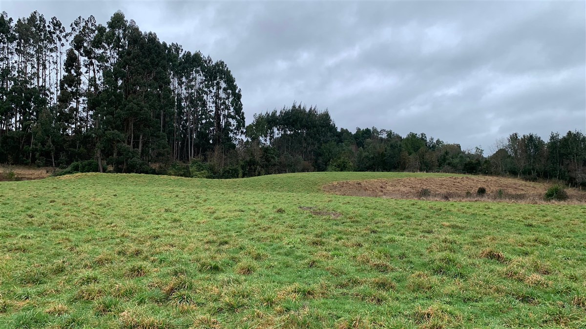 Venta Terreno Puerto Varas - Los Lagos
