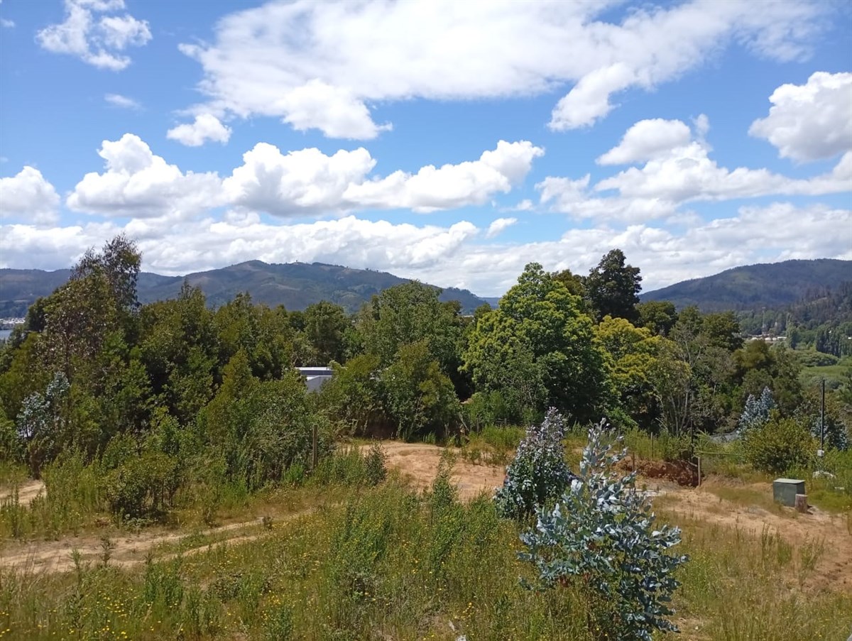 Venta Parcela Coronel - Biobío