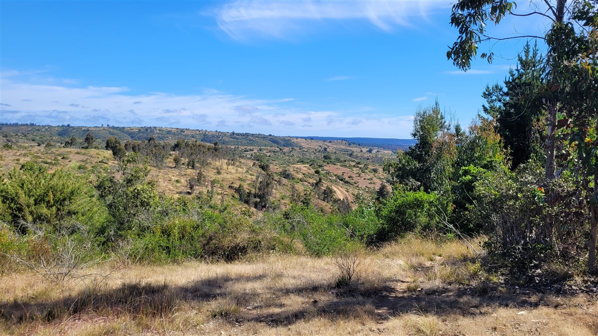 Venta Parcela Algarrobo - Valparaíso