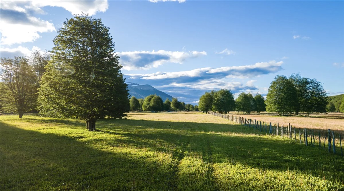 Venta Parcela Coyhaique - Aysén