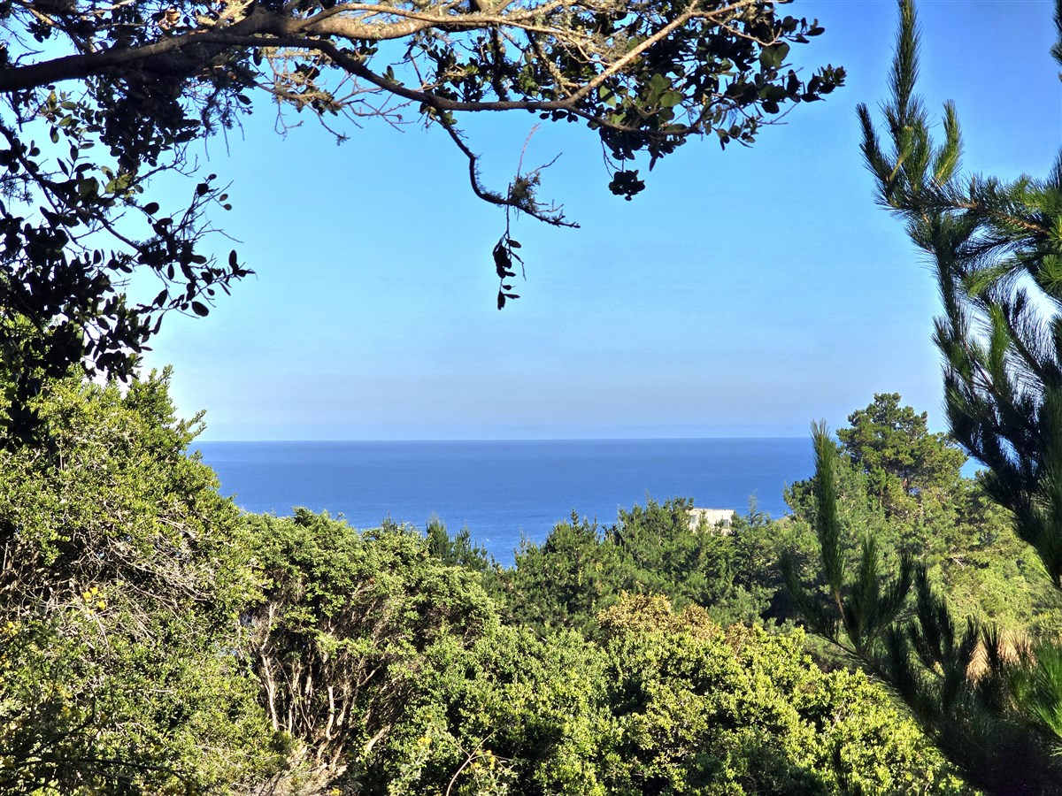 Venta Sitio Tomé - Biobío